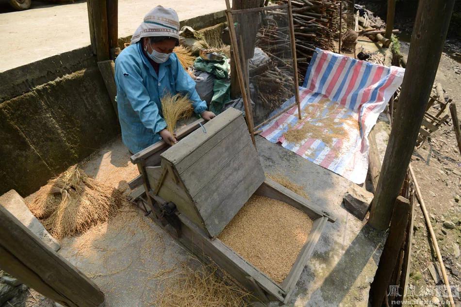 中国一个神奇的村寨 只生二胎还可决定性别