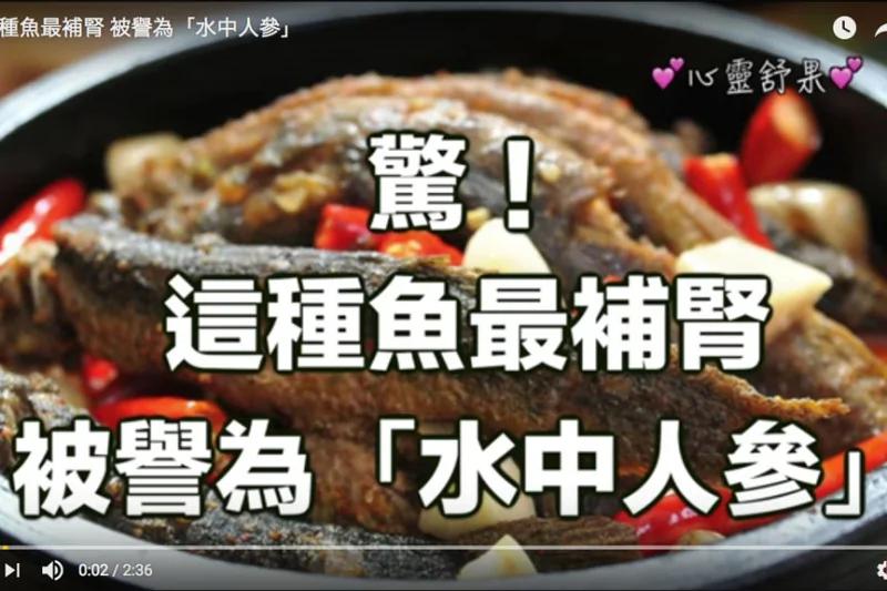 鱼能补肾!这种鱼这样吃功效最强