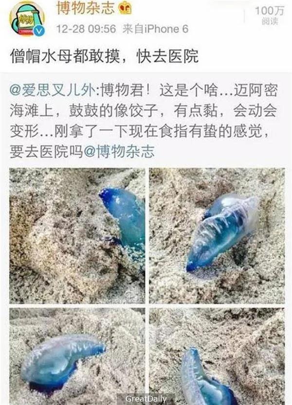 在海边看到“这个蓝色透明塑胶袋” 不要犹豫 请快点跑!