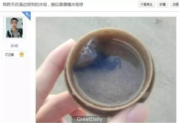 在海边看到“这个蓝色透明塑胶袋” 不要犹豫 请快点跑!
