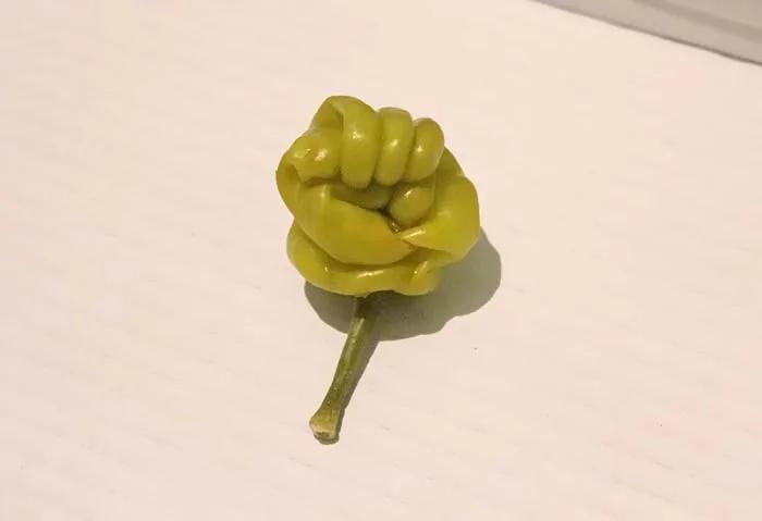 全都成精了?那些长得出乎意料的瓜果蔬菜