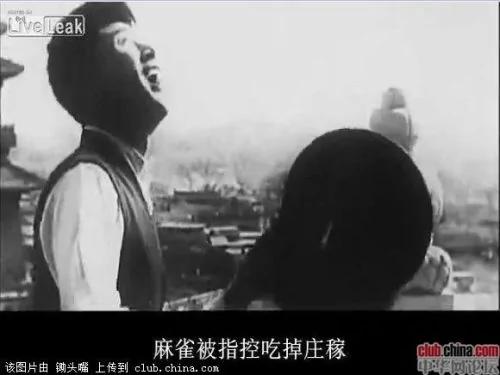 群众运动中的那些荒唐事