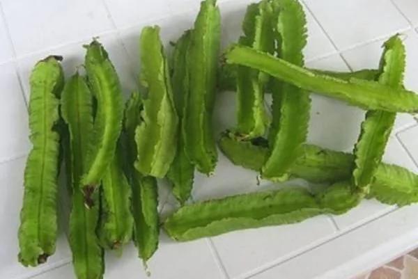 它被誉为“绿色金子”!最不像豆 营养却是豆中之王!
