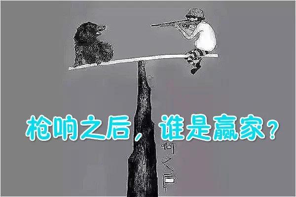 2016最火的两张图片