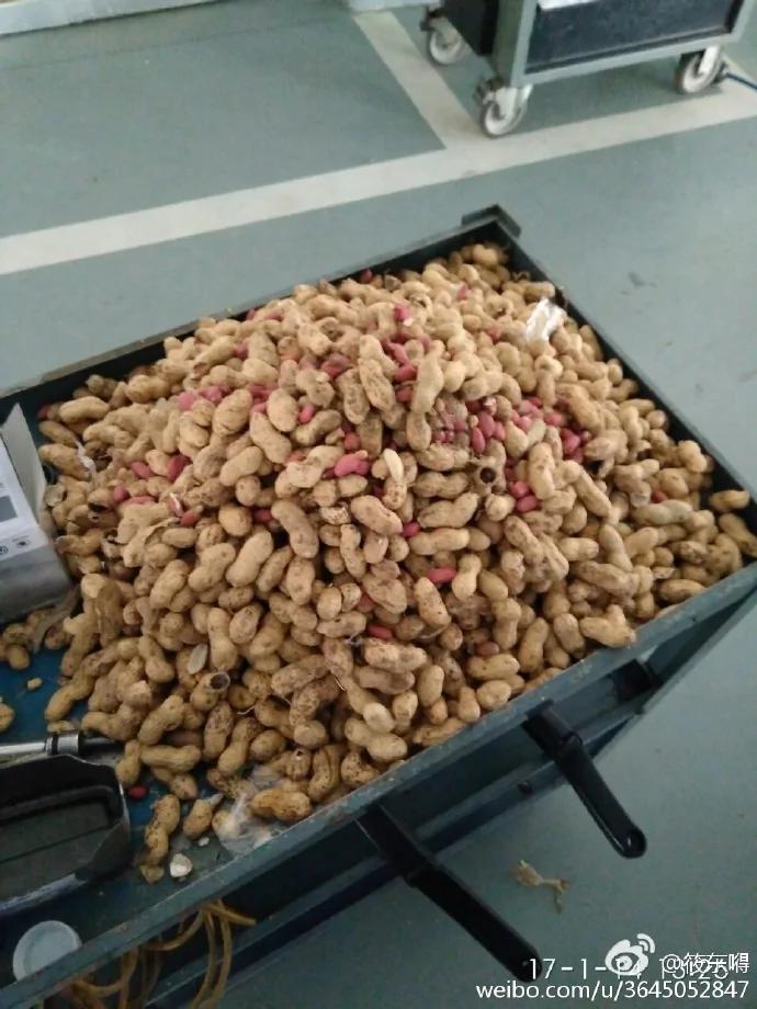 老鼠居然藏了整整一车粮食 网友展开群嘲模式…