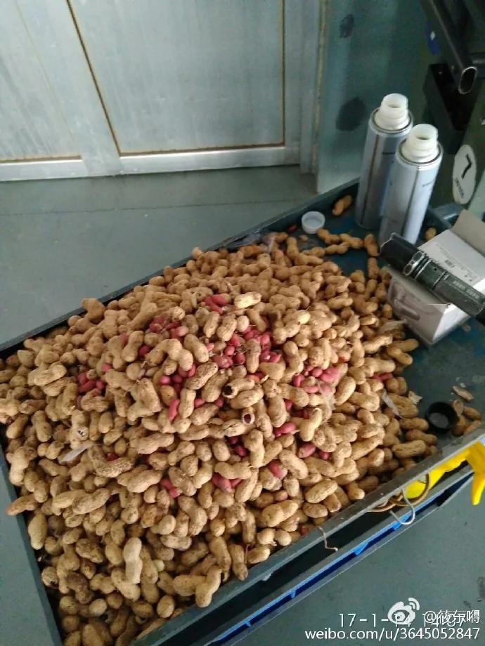 老鼠居然藏了整整一车粮食 网友展开群嘲模式…