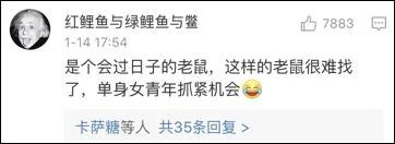 老鼠居然藏了整整一车粮食 网友展开群嘲模式…