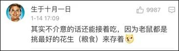 老鼠居然藏了整整一车粮食 网友展开群嘲模式…