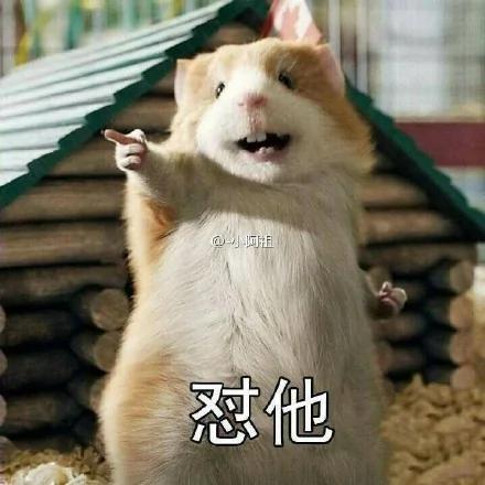 老鼠居然藏了整整一车粮食 网友展开群嘲模式…