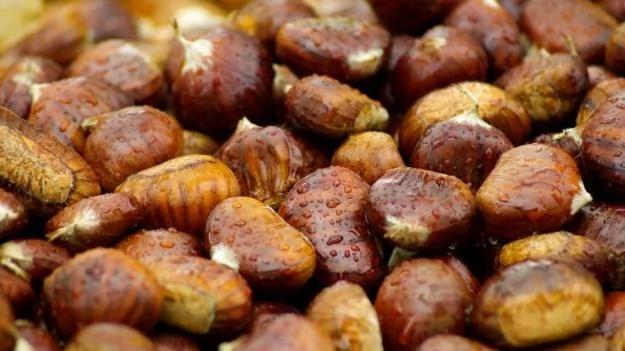 为什么药补不如食补 而且食物是最好的补品?