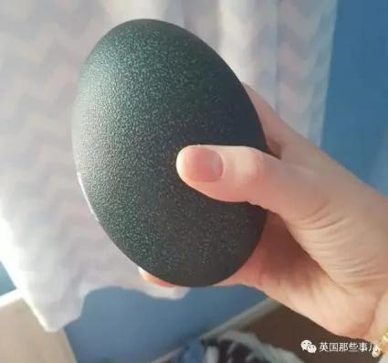 她在网上买了个鸸鹋蛋 在家里孵了47天 还居然真蛋孵出来了!