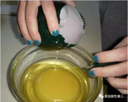她在网上买了个鸸鹋蛋 在家里孵了47天 还居然真蛋孵出来了!