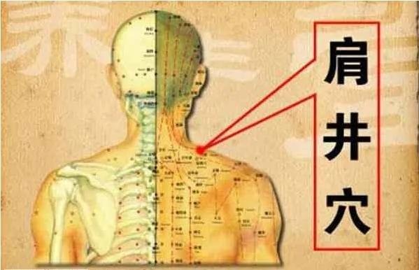 中医的十大保健穴 护肾、治颈椎病 养颜 一对一解决你的身体不爽!