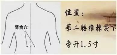 中医的十大保健穴 护肾、治颈椎病 养颜 一对一解决你的身体不爽!