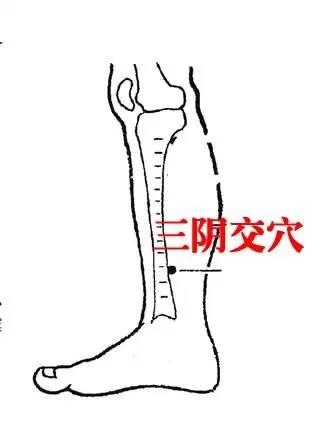 中医的十大保健穴 护肾、治颈椎病 养颜 一对一解决你的身体不爽!