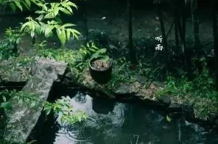 古人的风雅其实离我们并不遥远