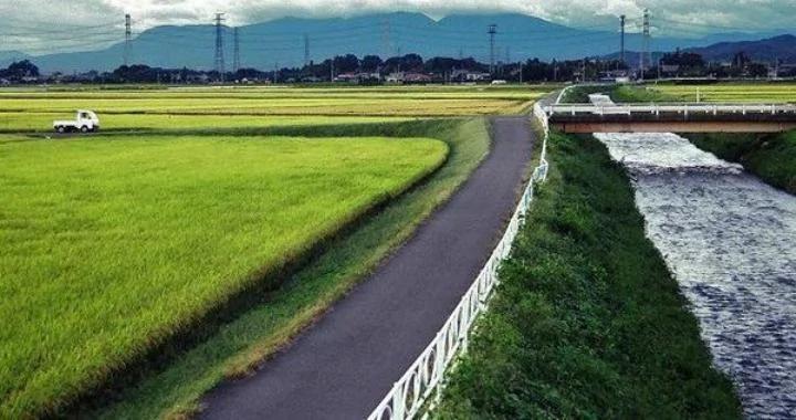 为什么日本姑娘去农村男友家不会被吓跑?