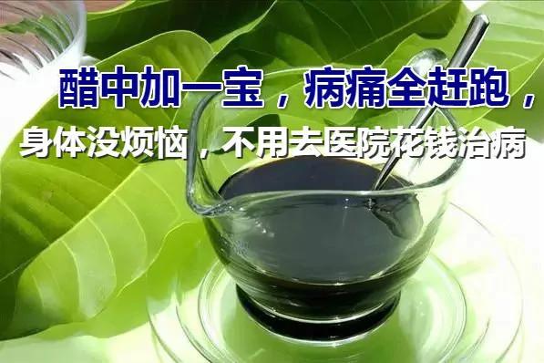 醋中加一宝 病痛全赶跑 身体没烦恼 不用去医院花钱治病!
