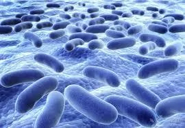 研究发现，中国1万7000名肠道细菌感染样本，1％具抗药性基因。（网络图片）