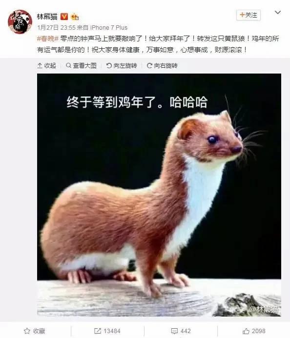 黄鼠狼:凭啥要我拜年?你们连我的照片都搞错