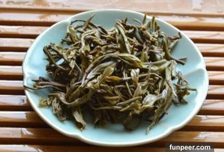 用过的“茶包”原来有这么多妙用