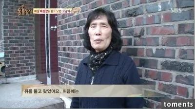 大婶帮附近的猫准备粮食和小窝!结果感动的猫星人居然这样“回报”她…!