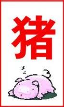 金鸡年财运旺 第一名竟然是它!