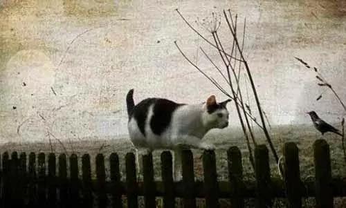 关于梦的真相 你一定要知道