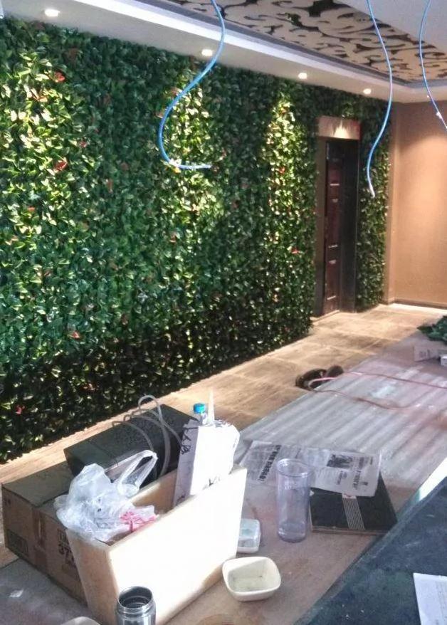 随手做的植物墙竟火遍全小区!左邻右舍都来讨教 其实方法超简单!