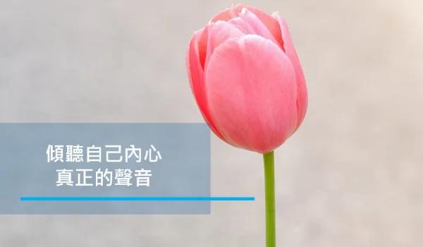 别和别人比 累的是自己!(写得太有理...)