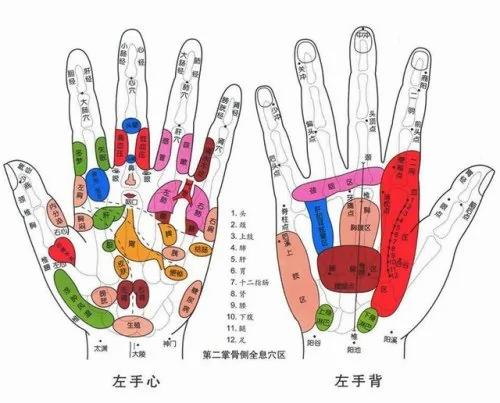每天搓揉手上“这位置” 提高免疫力