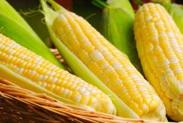 番茄酱中竟有果蝇卵 14个惊人的“食物真相”