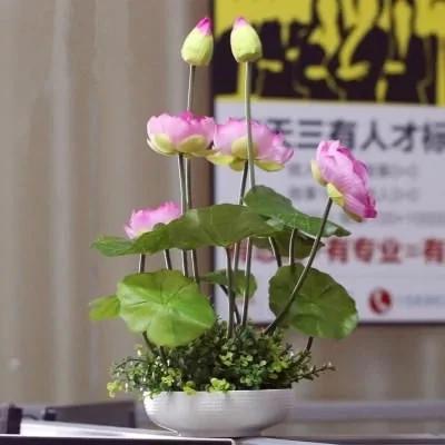 能驱蚊的小绿植 如果你家有一盆 再也不怕有蚊子了!!!