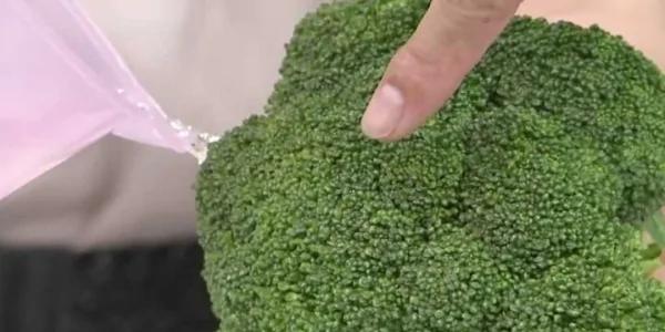 花椰菜的虫很难处理吗? 原来只要这样做