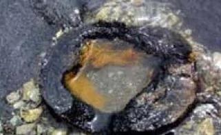 盘点地球上最古怪的10件文物