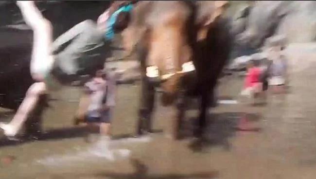 大象洗澡时遭乱摸 抓狂将女游客击飞