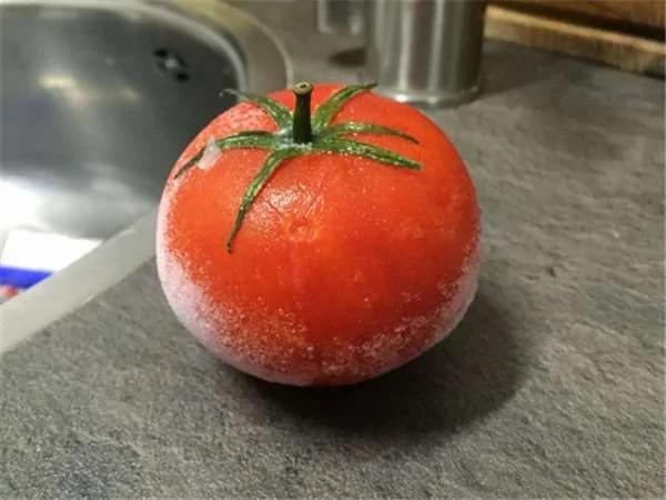 番茄放冷冻库冻成石头!退冰之后竟会有这样的神奇变化…