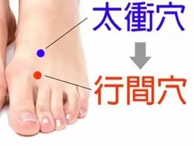 养生第一要务是顺四时 顺则生 逆则亡!给你一份最全四季养生方案!