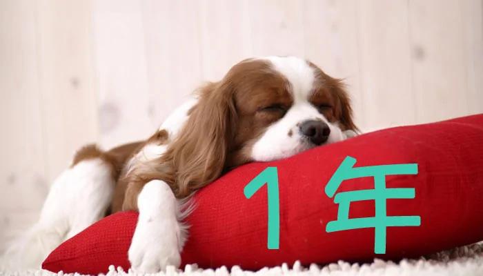 家里的16件东西你必须立刻扔掉!!!看完我马上就扔了!