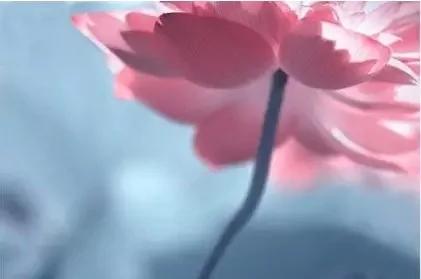 真的不忍心告诉你 这个世界只是一场梦