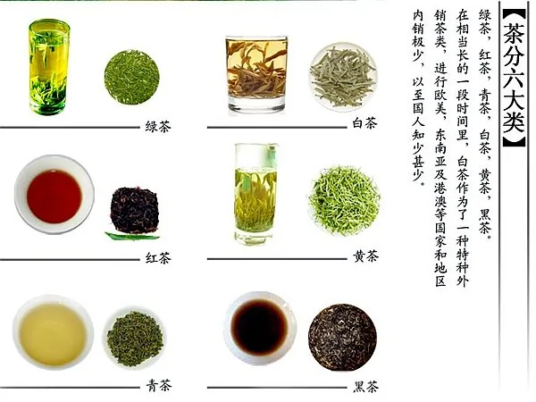 中国的茶叶有6000多个品种。