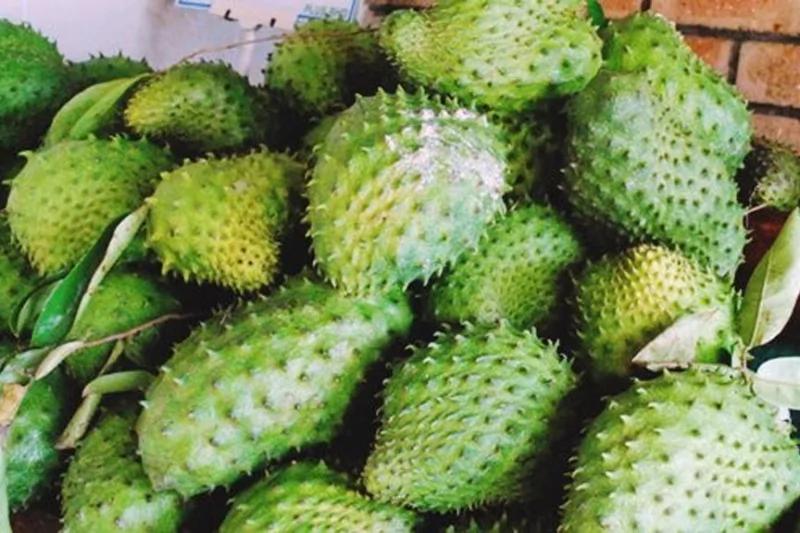 好神奇!用最天然的办法治痔疮