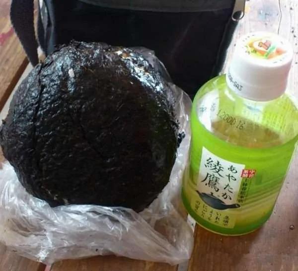 得罪了老婆别想跑!天天悲惨的便当菜色