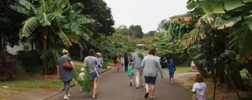 澳洲这条特殊的街 几百万人都想搬过去住