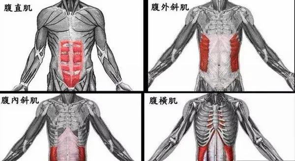 想练出迷人腹肌和翘臀?不妨这样做