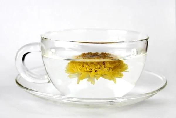 喝茶养生 但这5类人不要乱喝菊花茶
