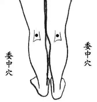 很多病因湿气而起 找到身体7个“排湿口”