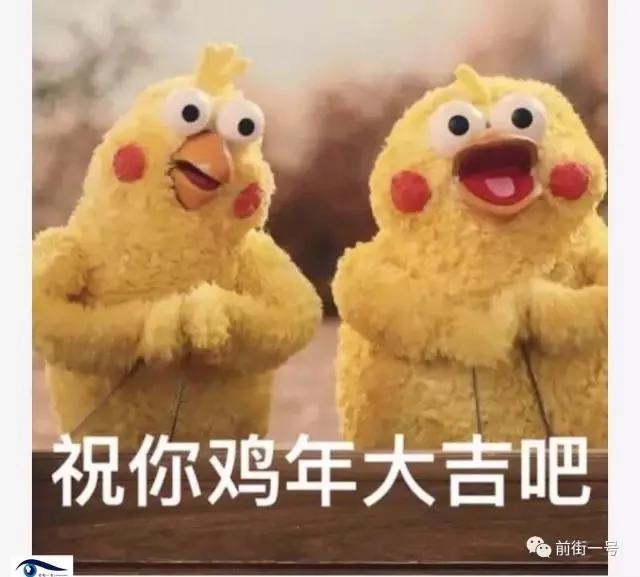 这2只外形酷似"鸡"的鹦鹉在中国和日本突然火了