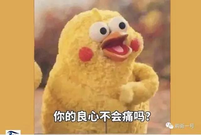 这2只外形酷似"鸡"的鹦鹉在中国和日本突然火了