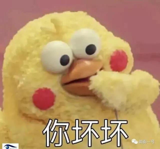 这2只外形酷似"鸡"的鹦鹉在中国和日本突然火了